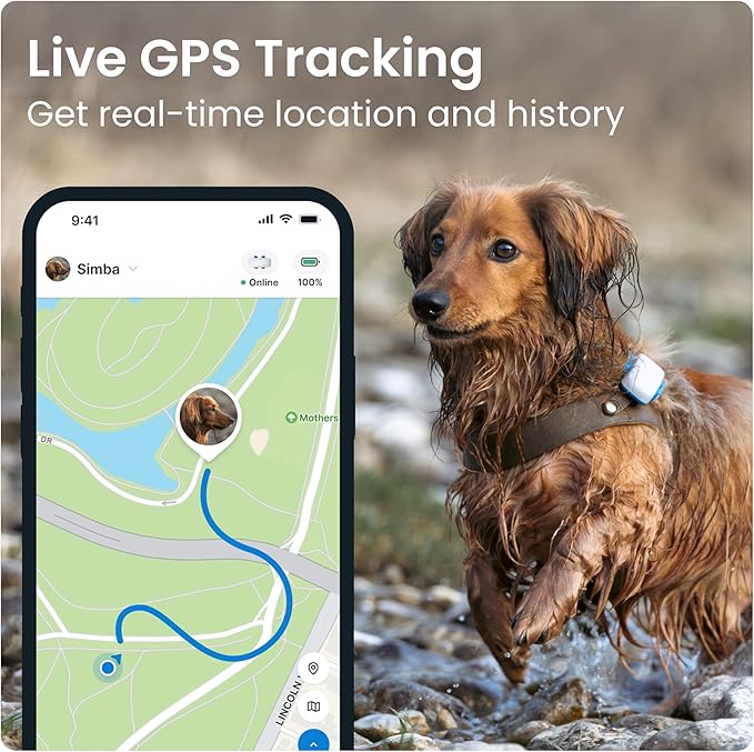 Tractive GPS Tracker: Live Tracking, Virtual Fences, and Activity Monitoring