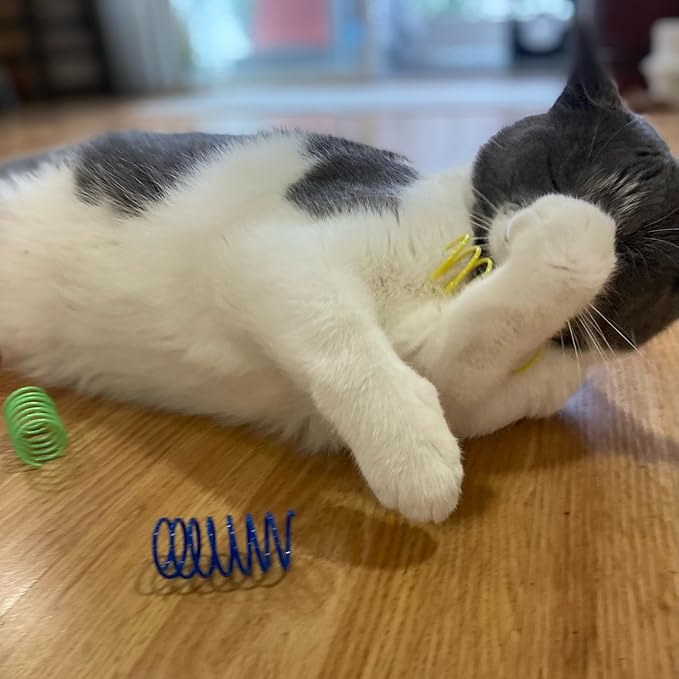 Cat Springs: Stimulate Hunting Instincts and Curiosity
