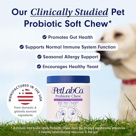 Chewable Probiotics: Allergies, Digestion, and Immune Health