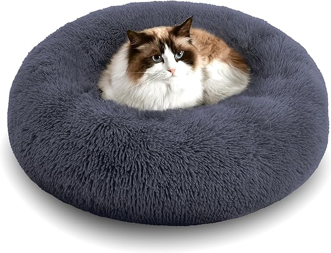 Perfect Bed: Orthopedic or Anti-Anxiety Donut – Maximum Comfort and Well-Being for Your Dog!
