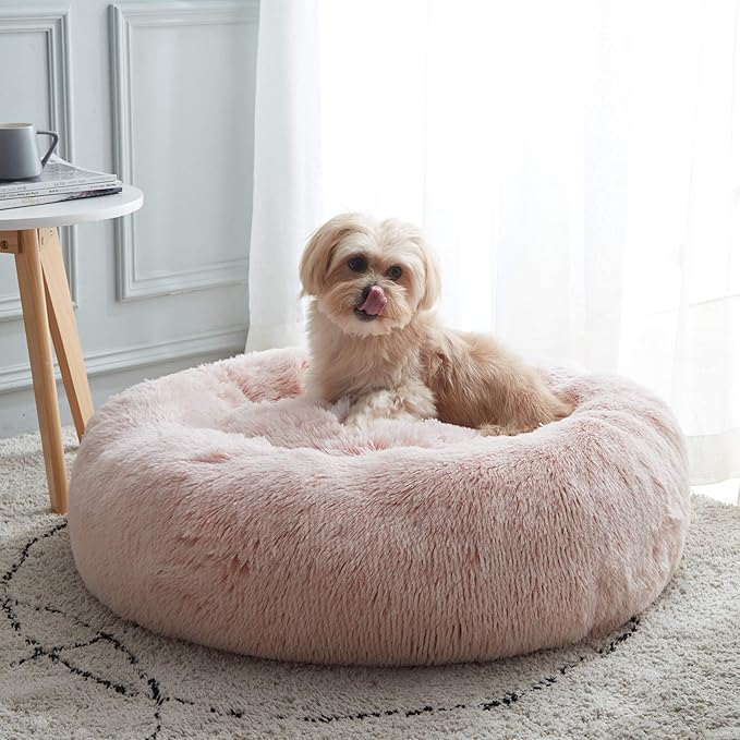 Perfect Bed: Orthopedic or Anti-Anxiety Donut – Maximum Comfort and Well-Being for Your Dog!