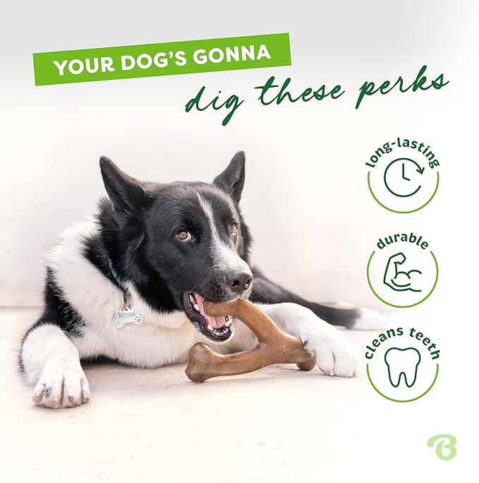 Benebone Wishbone: Indestructible Bone with Real Bacon Flavor