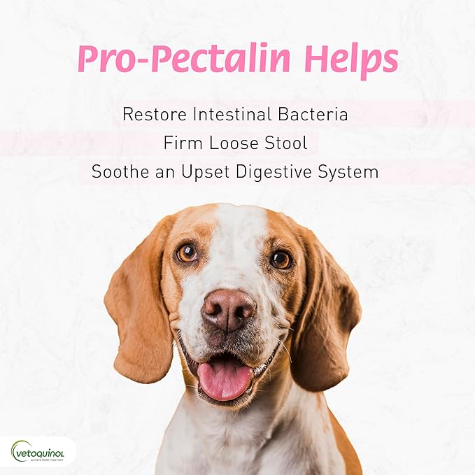 Pro-Pectalina: Probiotic Anti-Diarrheal for Dogs and Cats