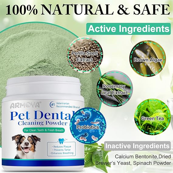Probiotic Dental Powder: Natural Oral Care for Pets