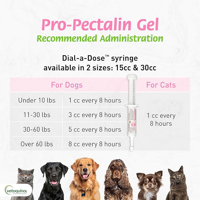 Pro-Pectalina: Probiotic Anti-Diarrheal for Dogs and Cats