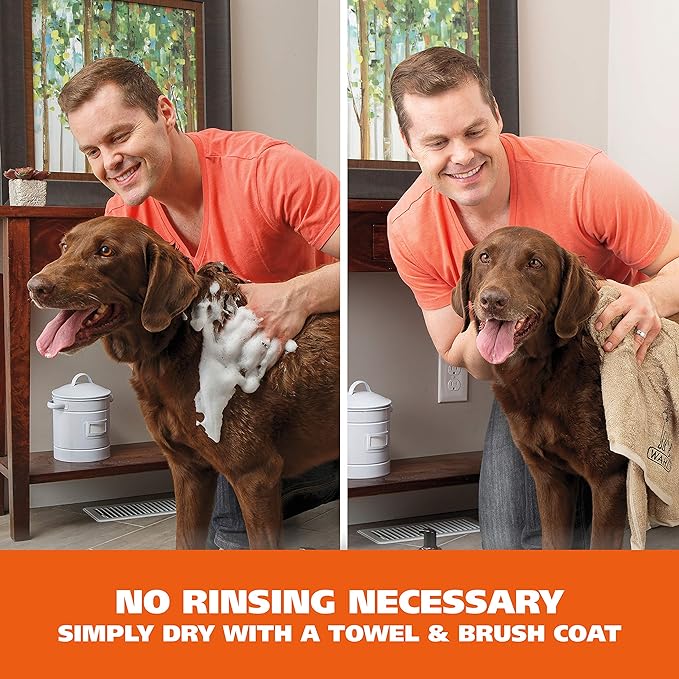 Wahl Oatmeal & Verbena Dry Shampoo: Gentle Care for Your Pet