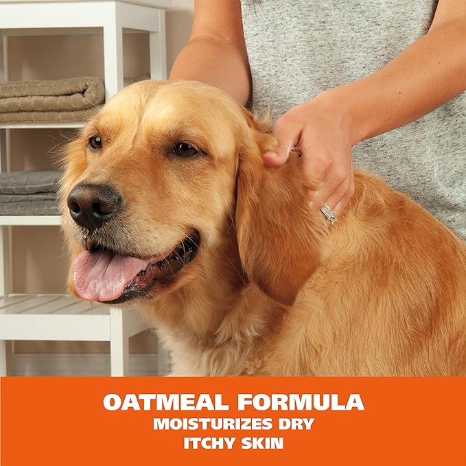 Wahl Oatmeal & Verbena Dry Shampoo: Gentle Care for Your Pet