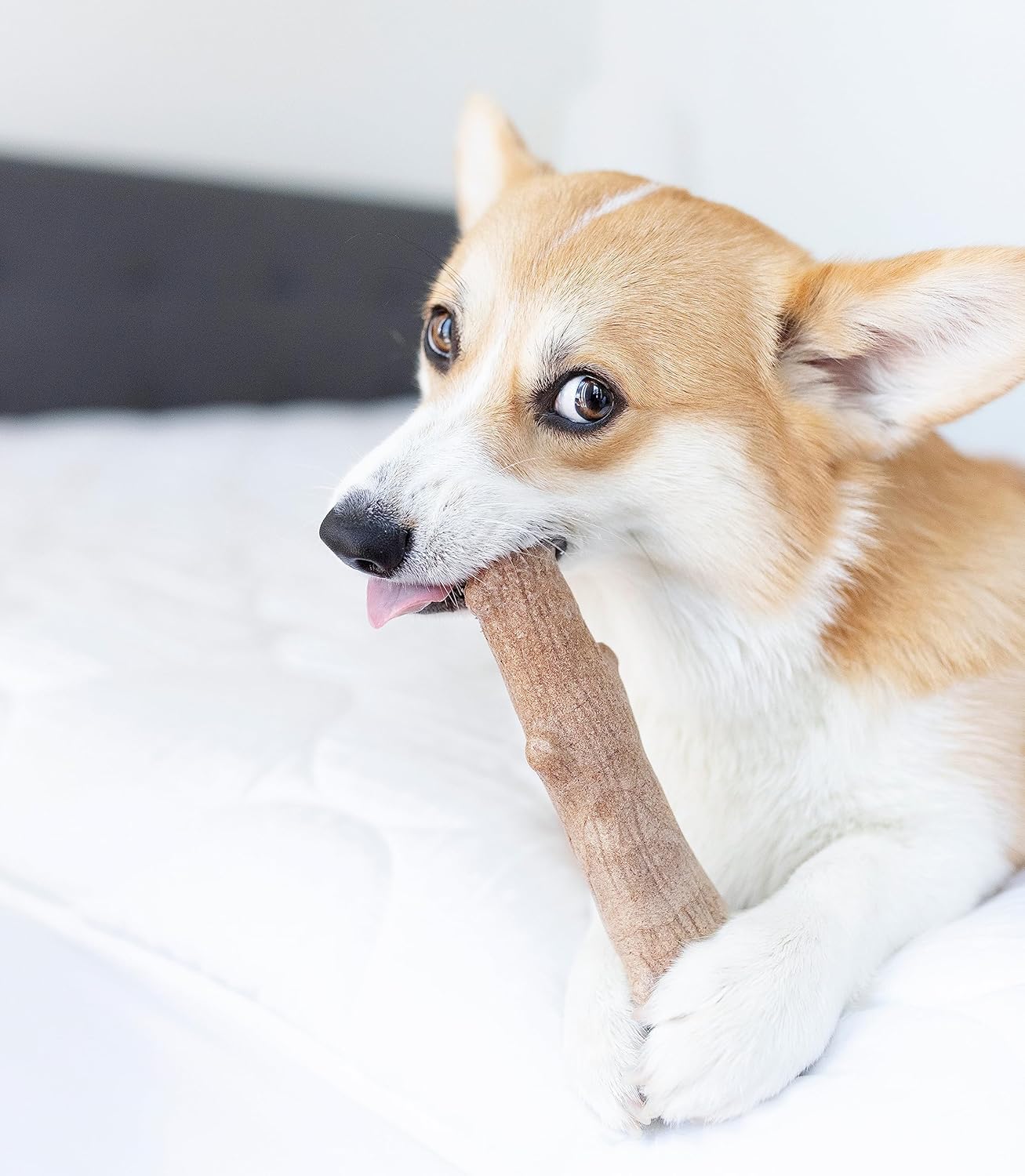 Barbecue Flavored Chew Toy for Dogs: Durable and Splinter-Free