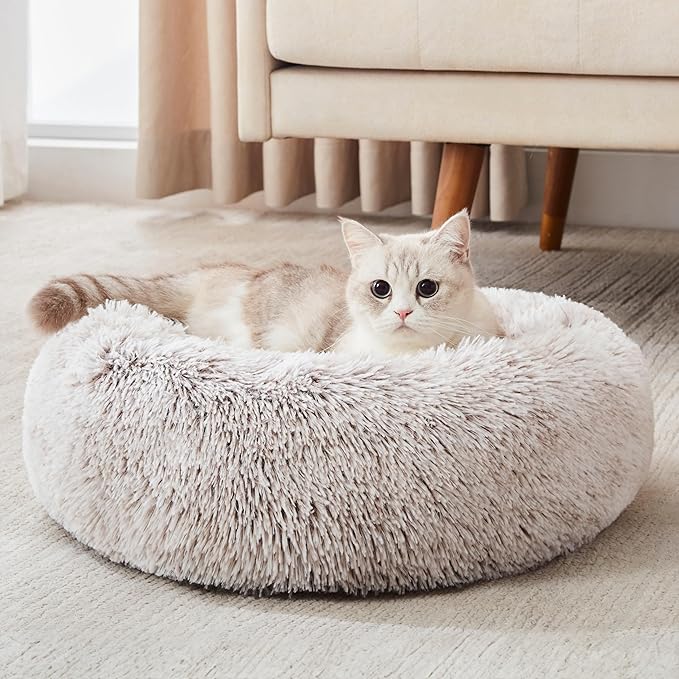 Perfect Bed: Orthopedic or Anti-Anxiety Donut – Maximum Comfort and Well-Being for Your Dog!