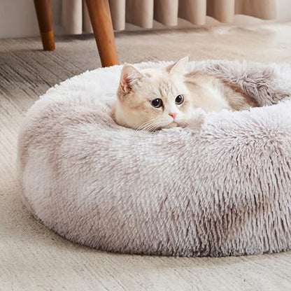 Perfect Bed: Orthopedic or Anti-Anxiety Donut – Maximum Comfort and Well-Being for Your Dog!