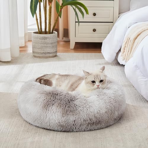 Perfect Bed: Orthopedic or Anti-Anxiety Donut – Maximum Comfort and Well-Being for Your Dog!