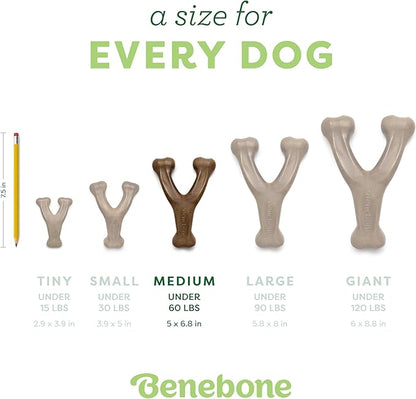 Benebone Wishbone: Indestructible Bone with Real Bacon Flavor