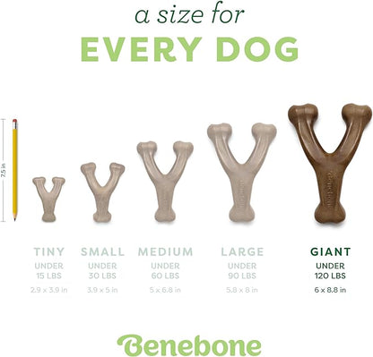 Benebone Wishbone: Indestructible Bone with Real Bacon Flavor