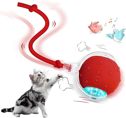 BLUEYPET Smart Rolling Ball: Automatic Exercise and Fun