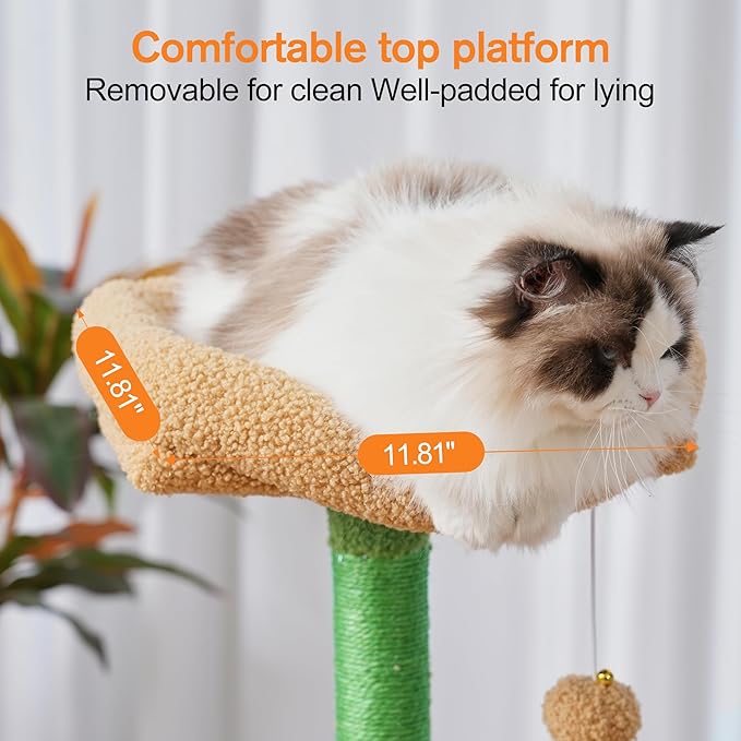 Árbol Rascador Completo para Gatos: ¡Aventura, Confort y Diversión Sin Fin! 