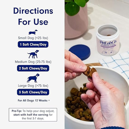Chewable Probiotics: Allergies, Digestion, and Immune Health