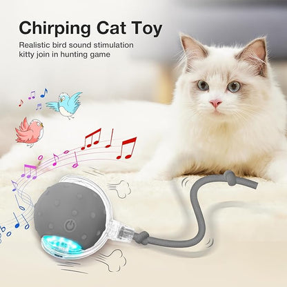 YoPoll Interactive Ball: Stimulate Your Cat’s Hunting Instinct
