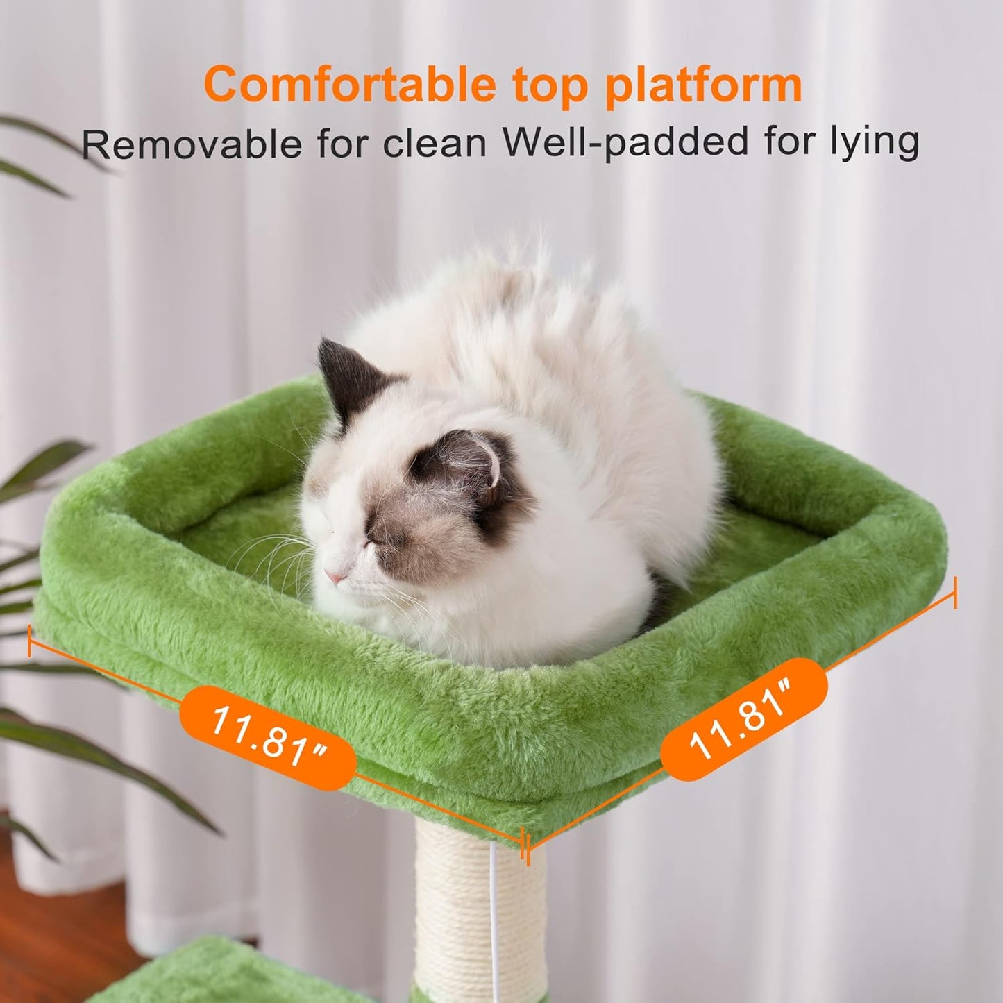 Árbol Rascador Completo para Gatos: ¡Aventura, Confort y Diversión Sin Fin! 