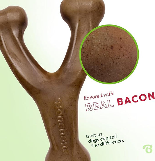 Benebone Wishbone: Indestructible Bone with Real Bacon Flavor