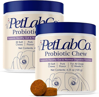Chewable Probiotics: Allergies, Digestion, and Immune Health