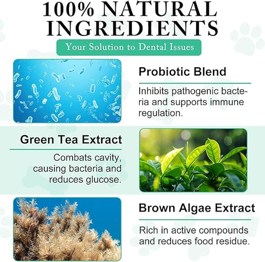 Probiotic Dental Powder: Natural Oral Care for Pets