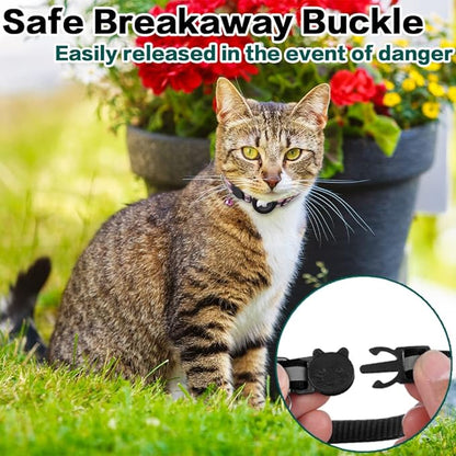 Reflective Collar with AirTag Holder: Keep Track of Your Cat Anytime