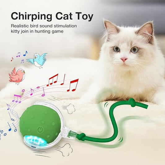 YoPoll Interactive Ball: Stimulate Your Cat’s Hunting Instinct