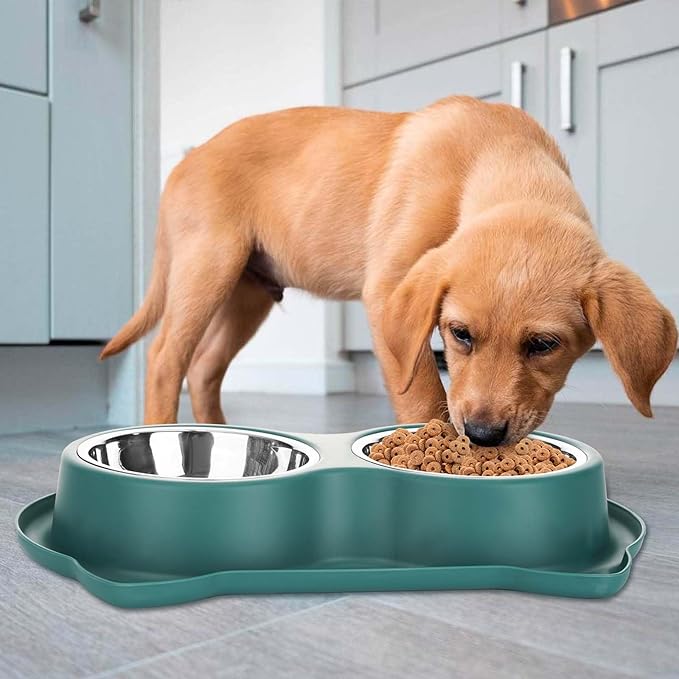 Set de Cuencos Antiderrames para Mascotas: ¡Comidas Sin Desorden, Hogar Feliz!