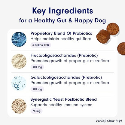 Chewable Probiotics: Allergies, Digestion, and Immune Health