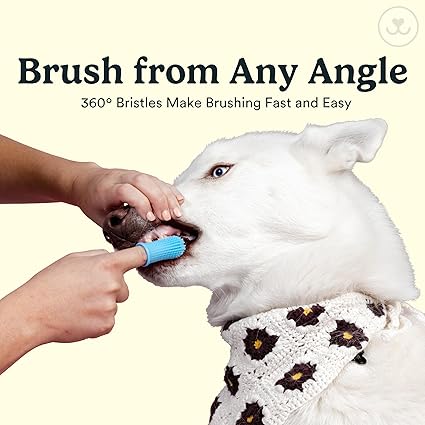 360º Finger Brushes: The Key to Complete Dental Hygiene
