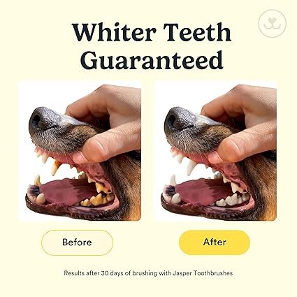 360º Finger Brushes: The Key to Complete Dental Hygiene