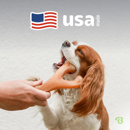 Benebone Wishbone: Indestructible Bone with Real Bacon Flavor