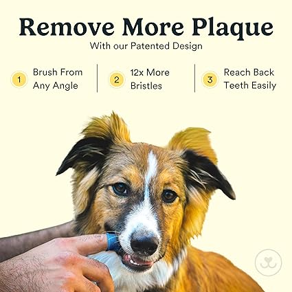 360º Finger Brushes: The Key to Complete Dental Hygiene