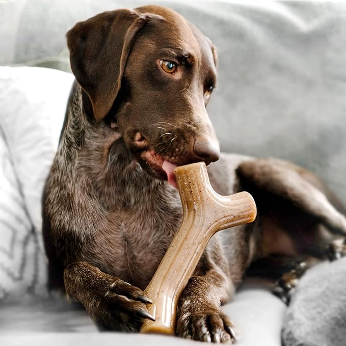 4-Pack Benebones with Real Flavors: Bacon, Fish, and Wood