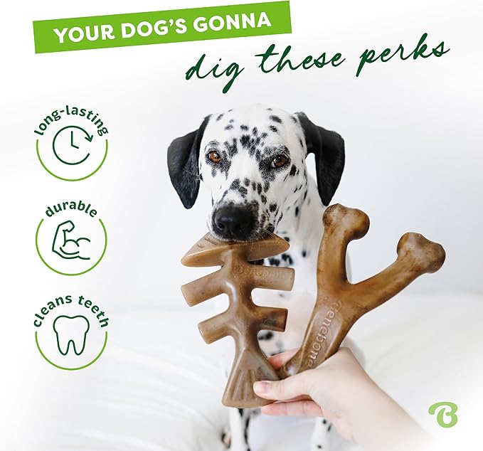 4-Pack Benebones with Real Flavors: Bacon, Fish, and Wood