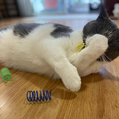 Cat Springs: Stimulate Hunting Instincts and Curiosity