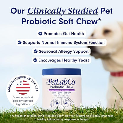 Chewable Probiotics: Allergies, Digestion, and Immune Health