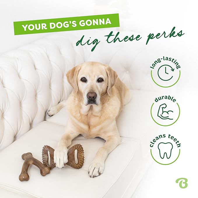 4-Pack Benebones with Real Flavors: Bacon, Fish, and Wood