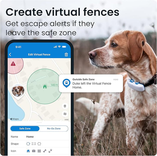 Tractive GPS Tracker: Live Tracking, Virtual Fences, and Activity Monitoring