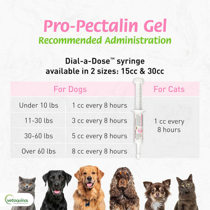 Pro-Pectalina: Probiotic Anti-Diarrheal for Dogs and Cats