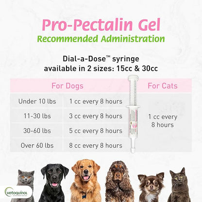 Pro-Pectalina: Probiotic Anti-Diarrheal for Dogs and Cats