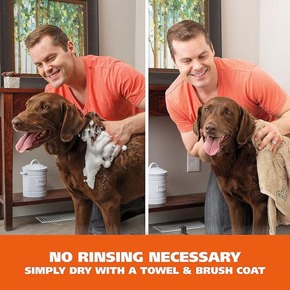 Wahl Oatmeal & Verbena Dry Shampoo: Gentle Care for Your Pet