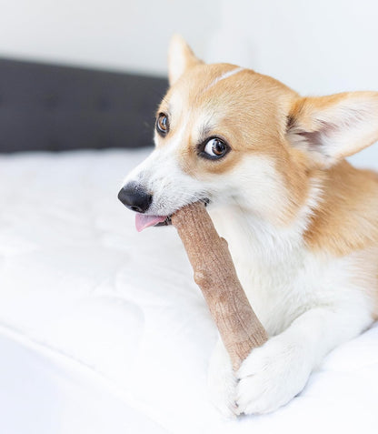 Barbecue Flavored Chew Toy for Dogs: Durable and Splinter-Free
