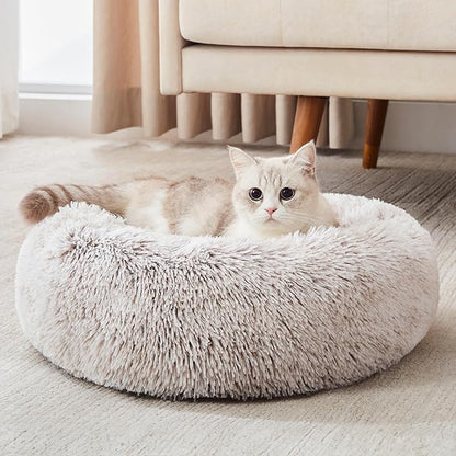 Perfect Bed: Orthopedic or Anti-Anxiety Donut – Maximum Comfort and Well-Being for Your Dog!